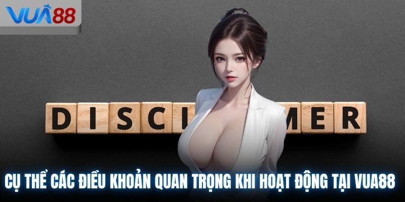 Cụ thể các điều khoản quan trọng khi hoạt động tại VUA88