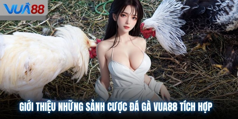 Giới thiệu những sảnh cược đá gà VUA88 tích hợp