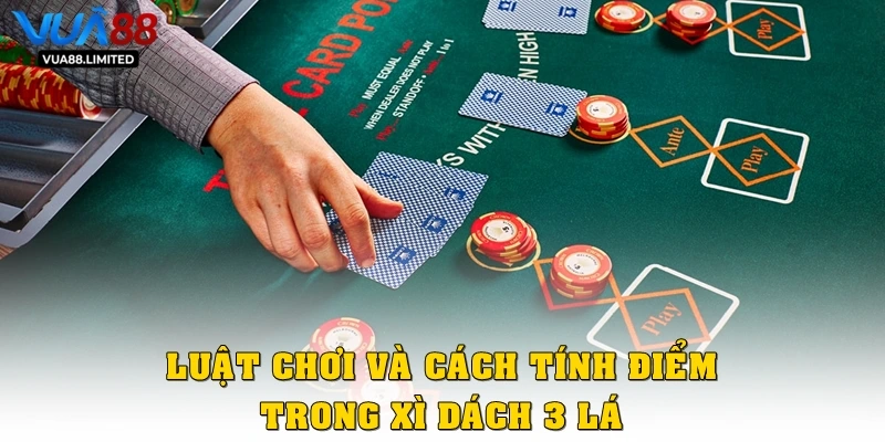 Luật chơi và cách tính điểm trong Xì dách 3 lá